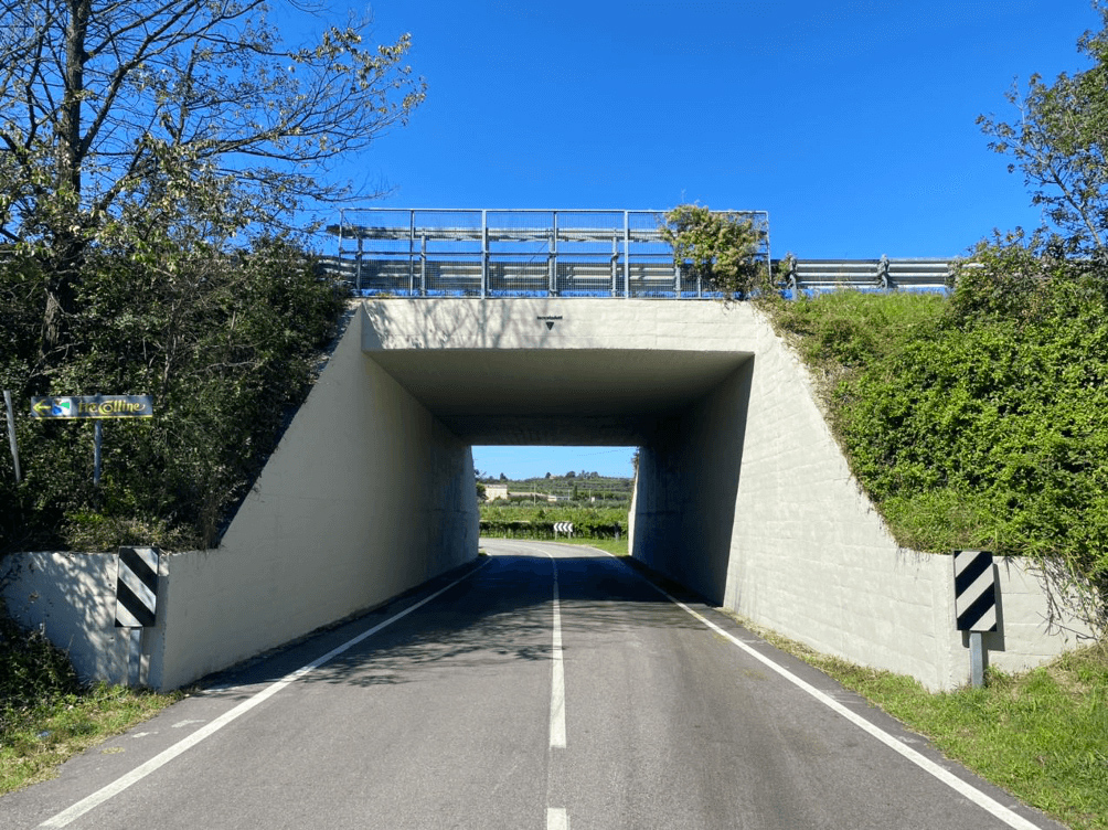 Veronello
